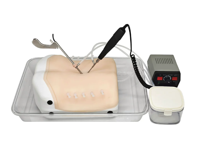 Percutaneous Endoscopic Foraminoscopy Training UBE Surgical Simulator.png