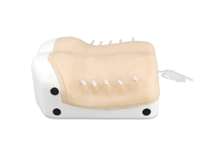 Percutaneous Endoscopic Foraminoscopy Training UBE Surgical Simulator 1.png